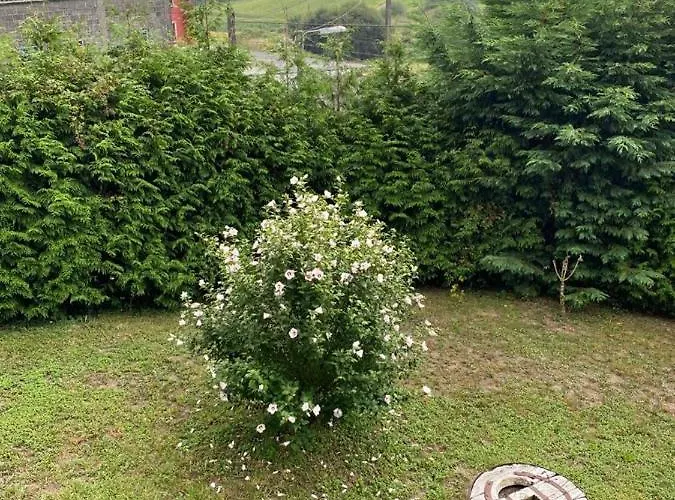 Шале Casa De Lela Негрейра